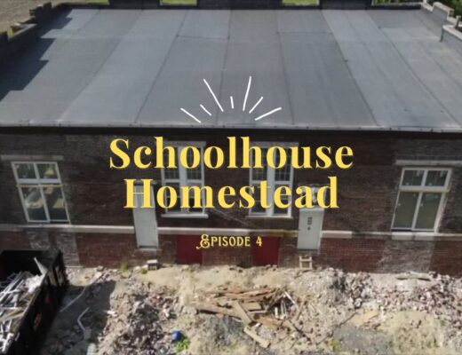 How to Make a Custom Floor Mosaic, a Step-by-Step Guide - Schoolhouse  Homestead